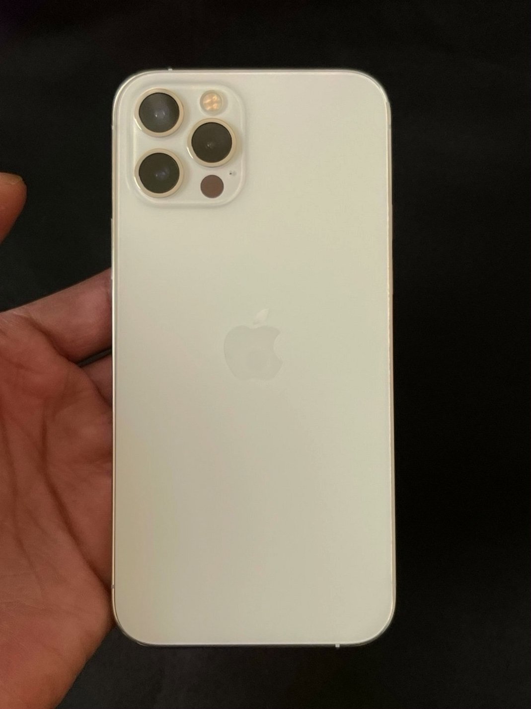 Apple iPhone 12 Pro 256GB Silver Unlocked - Used