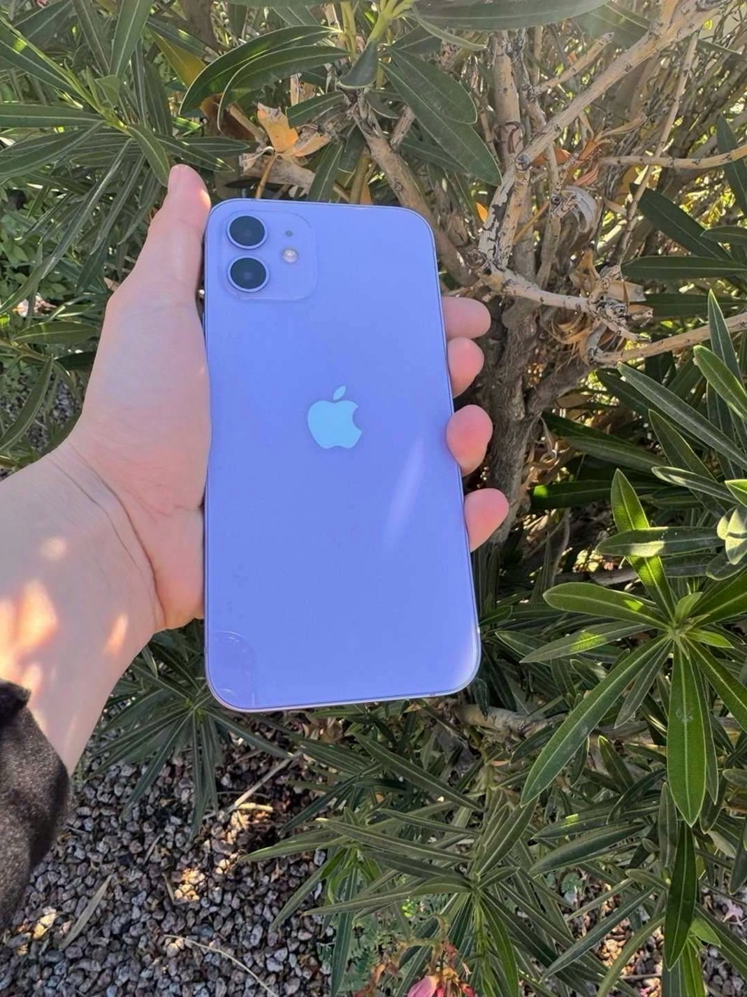 Apple iPhone 12 128GB Purple Unlocked - Used image 4