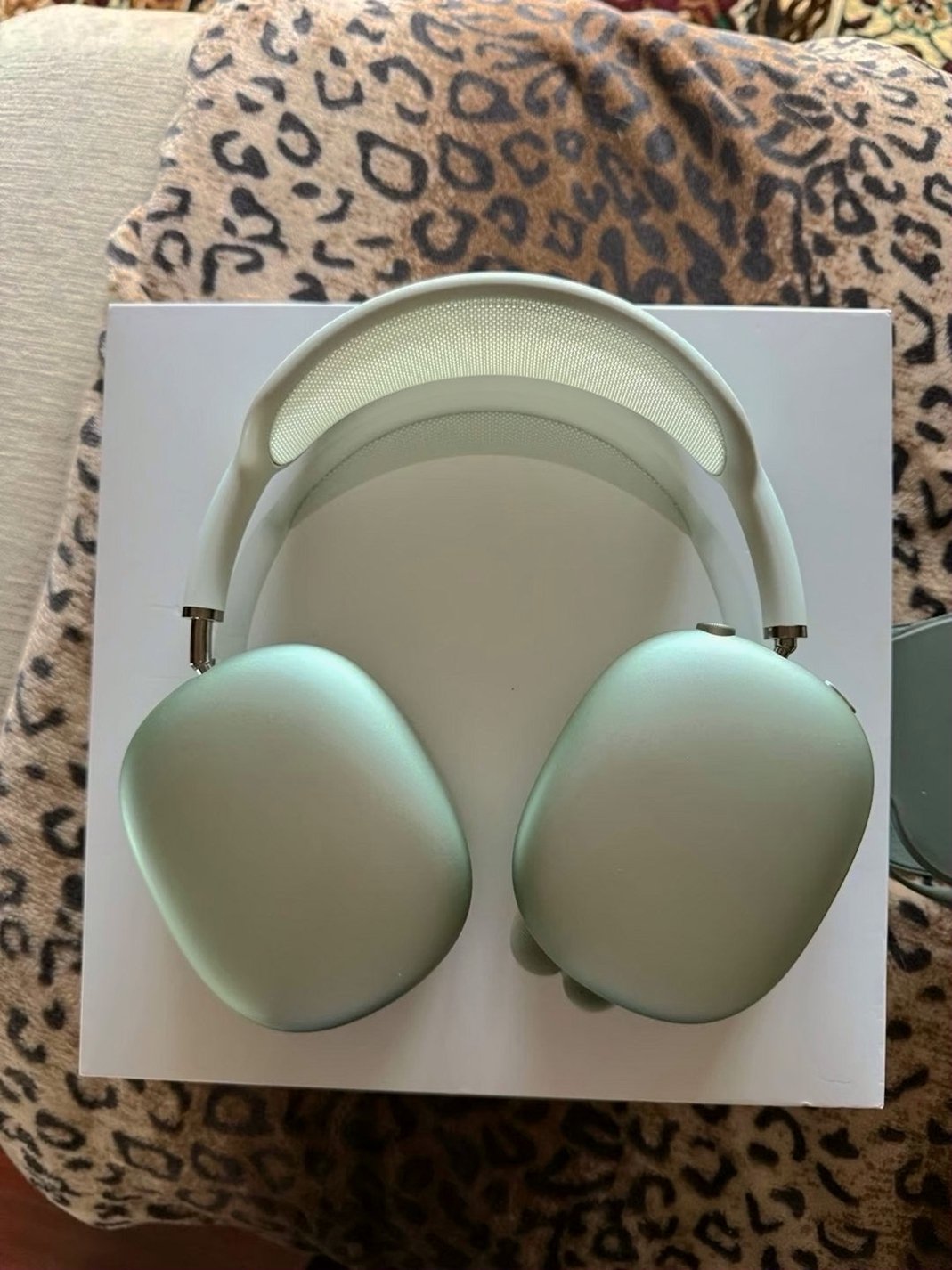 Apple Airpods Max 6Z71 Used
