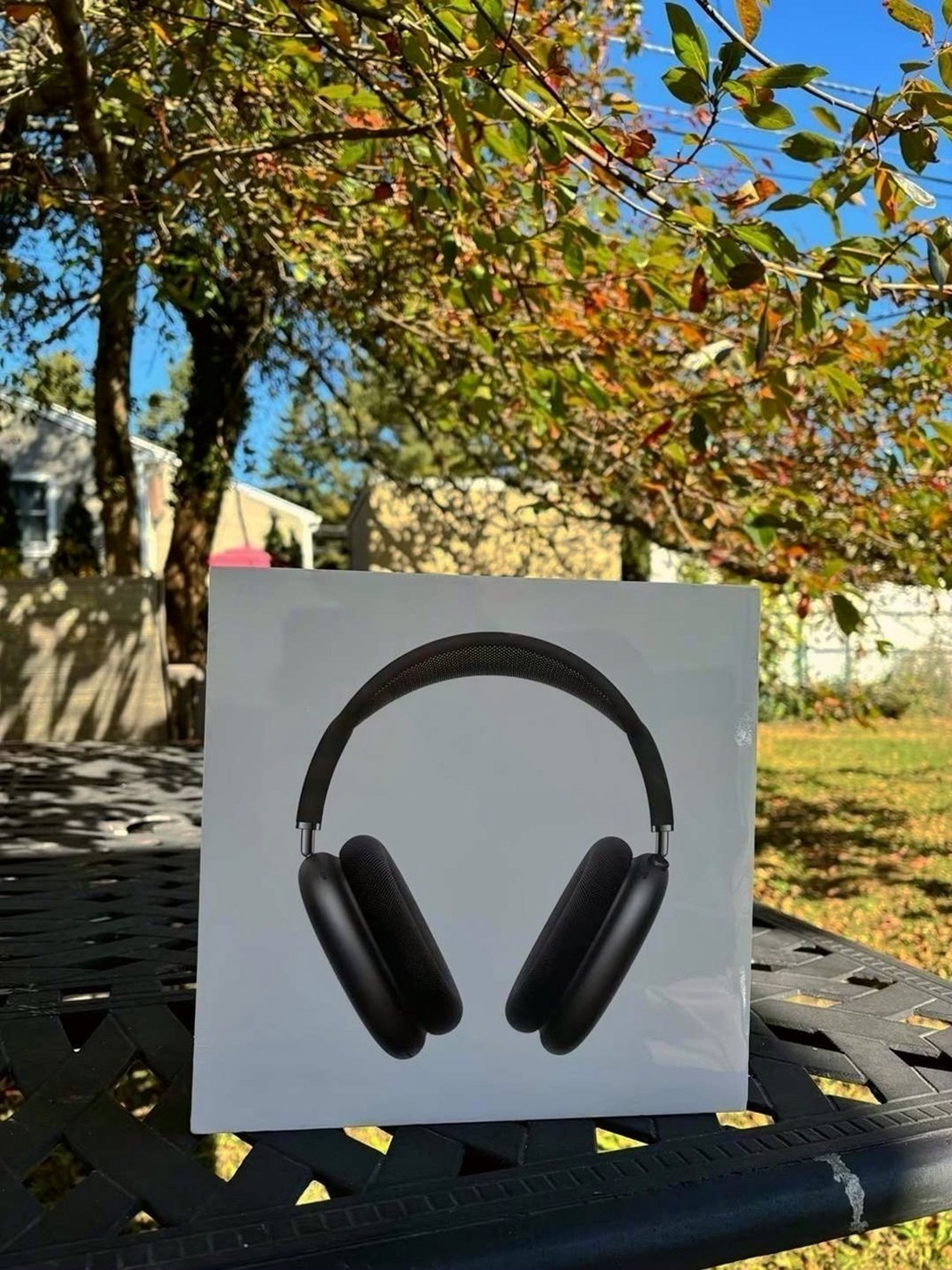 Apple AirPods Max Space Gray Unlocked - Used