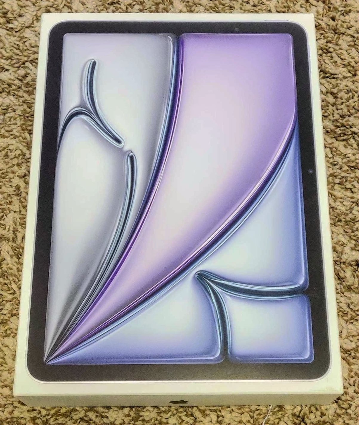 Apple iPad Air 11" (M2) 128GB Space Grey Unlocked - Used