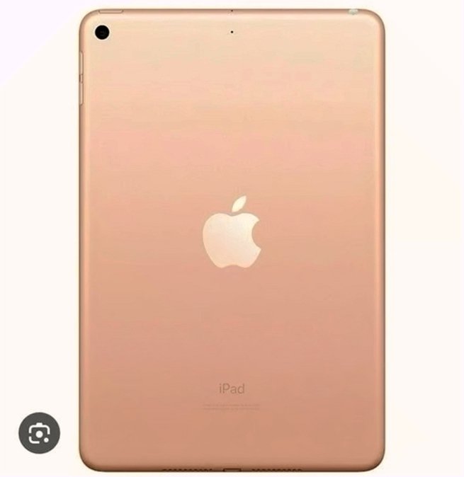 Apple iPad mini 5th Gen 256GB Rose Gold Unlocked - Used