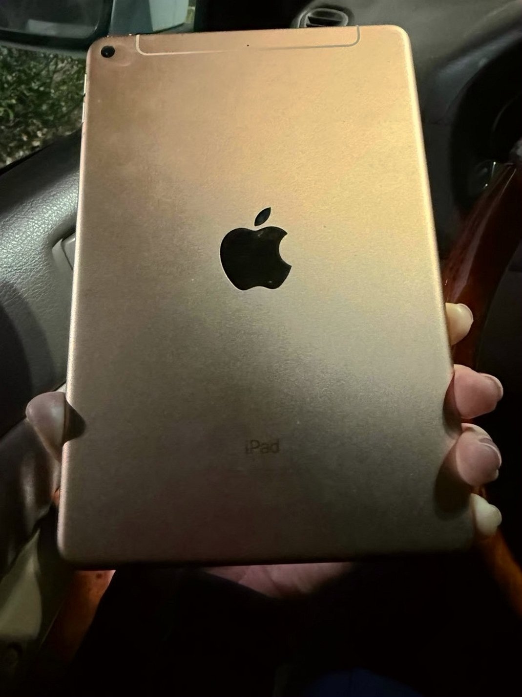 Apple iPad mini 5th Gen 256GB Rose Gold Unlocked - Used image 3