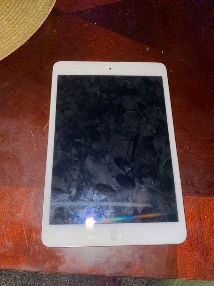 Apple iPad mini 1st Generation 16GB White & Silver Unlocked - Used