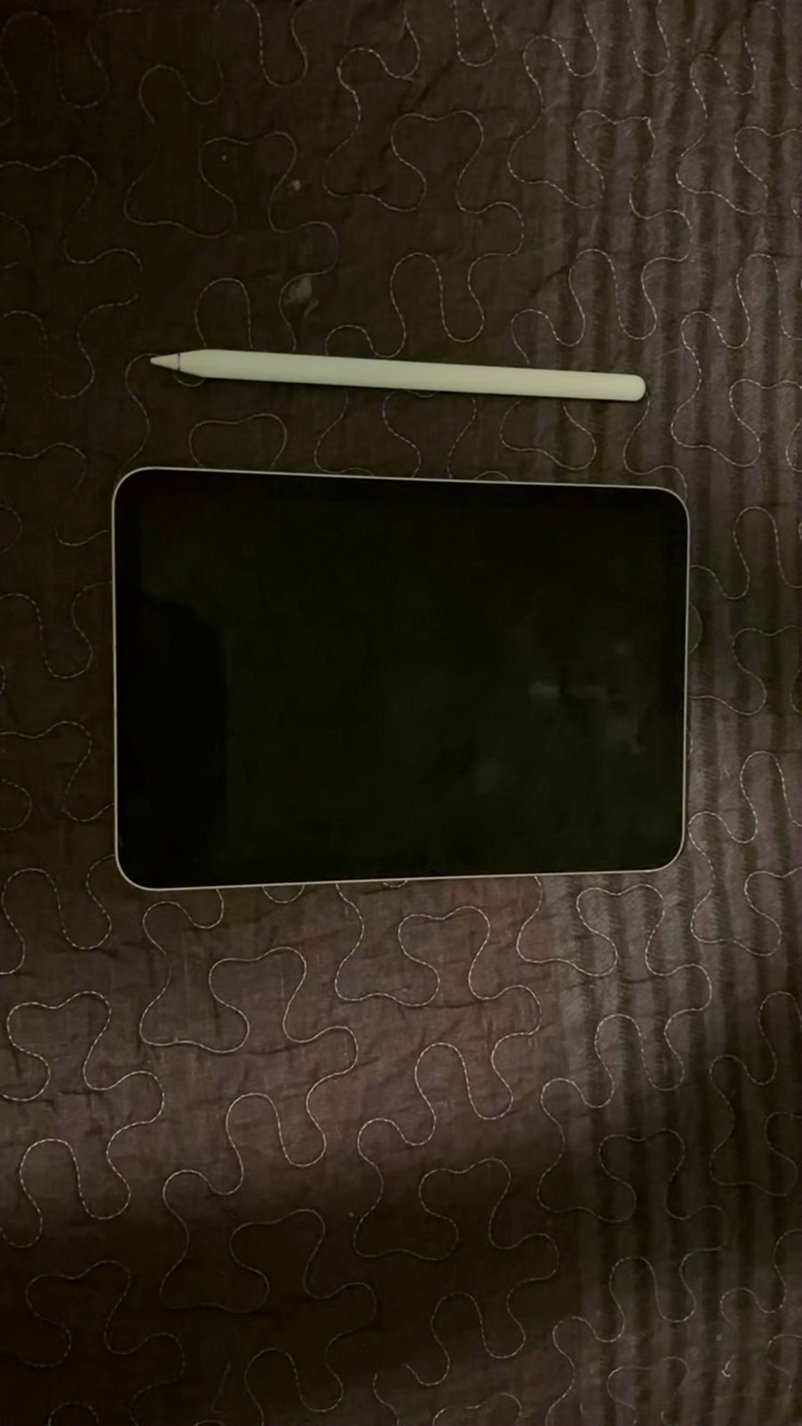 Apple iPad mini 6th Gen 64GB Space Gray Unlocked - Used