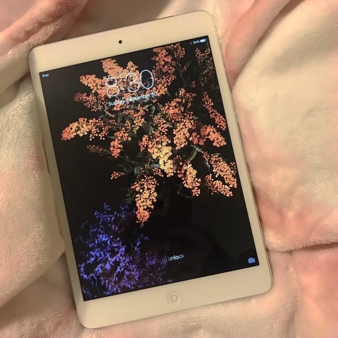 Apple iPad Mini 64GB Space Gray Unlocked - Used