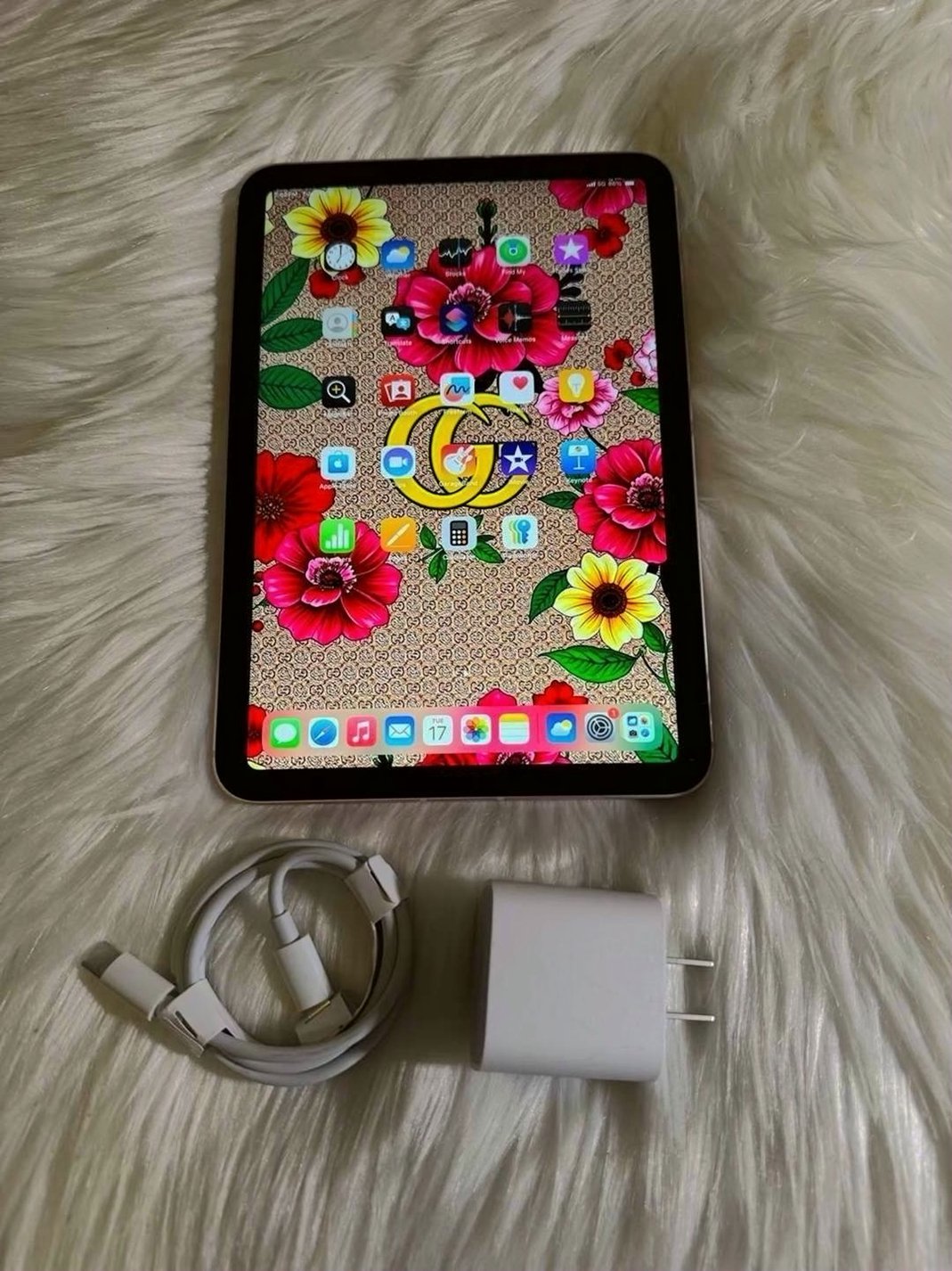 Apple iPad Mini 6th Generation 64GB Rose Gold Unlocked - Used