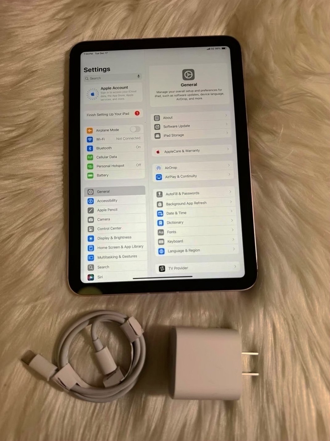 Apple iPad Mini 6th Generation 64GB Rose Gold Unlocked - Used image 3