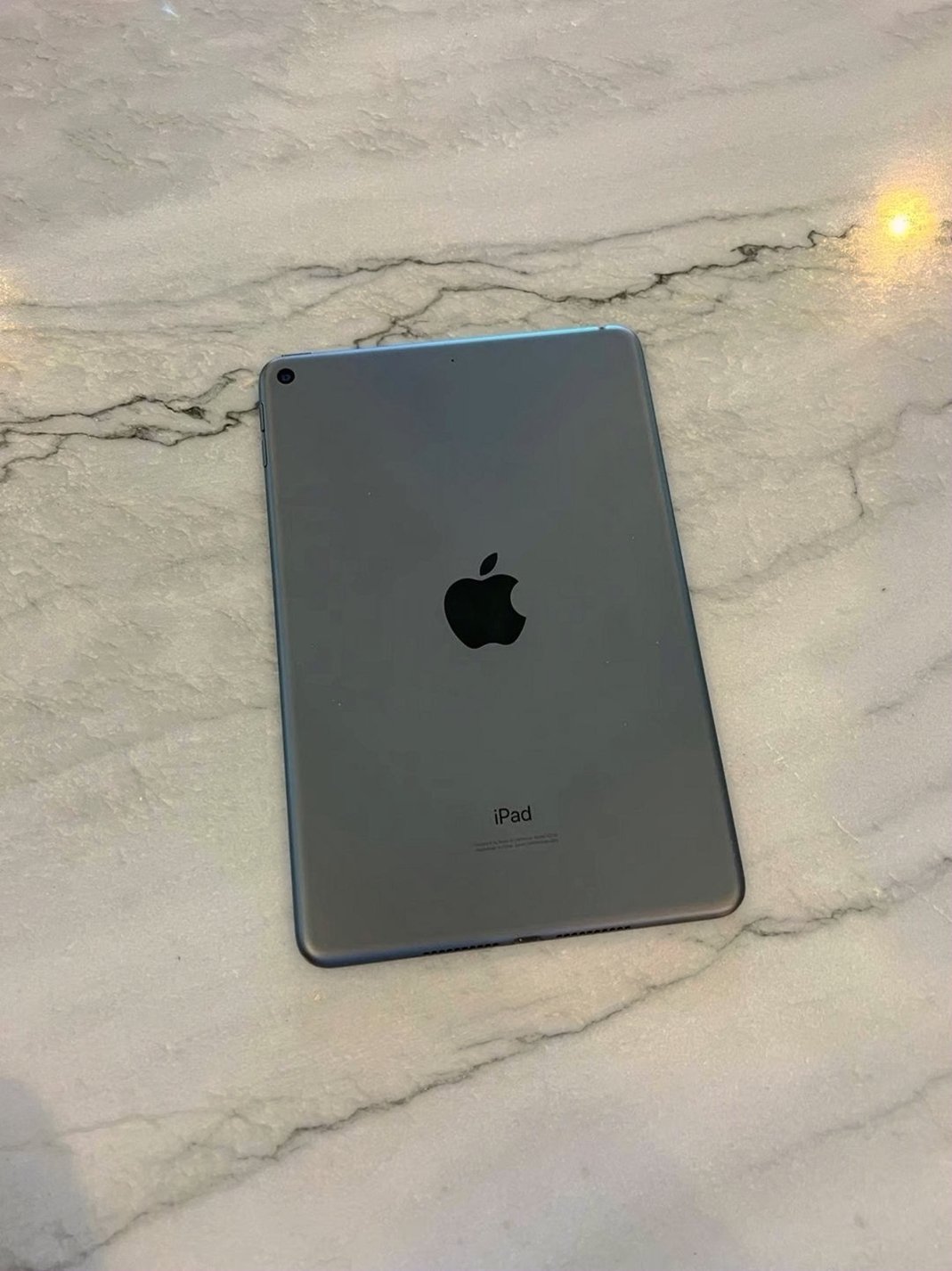 Apple iPad mini 5th Generation 64GB Space Gray Unlocked - Used image 3