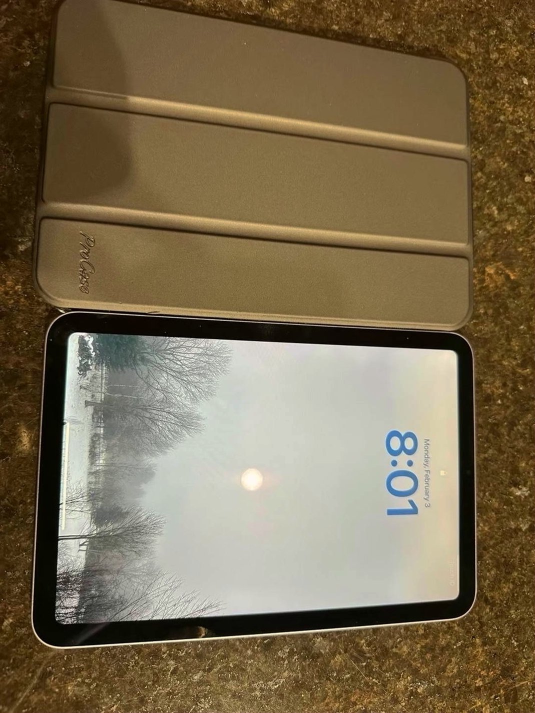 Apple iPad mini 6th Gen 64GB Lavender Unlocked - Used