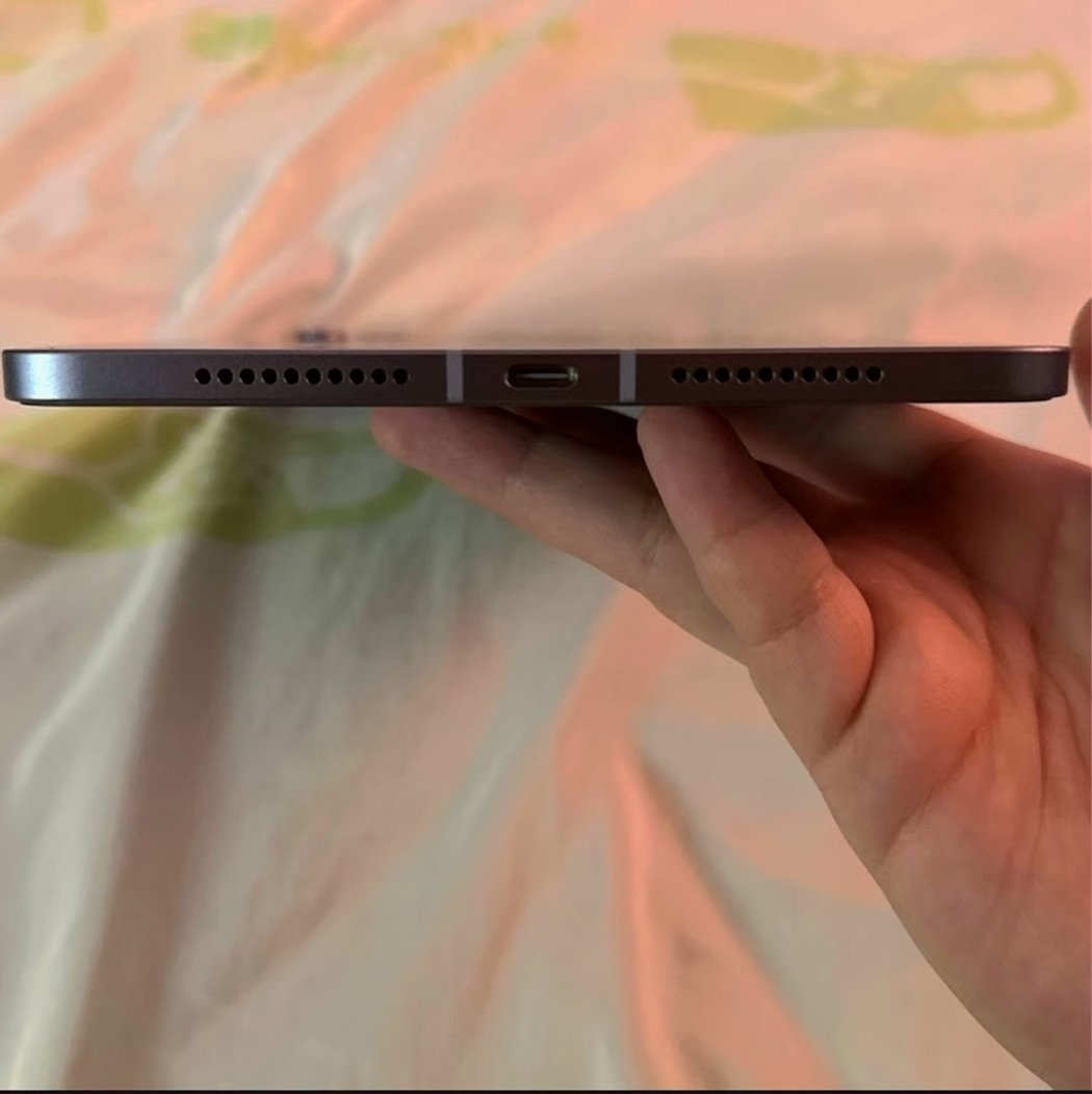 Apple iPad mini 6 Cellular 64GB Space Gray Unlocked - Used image 3