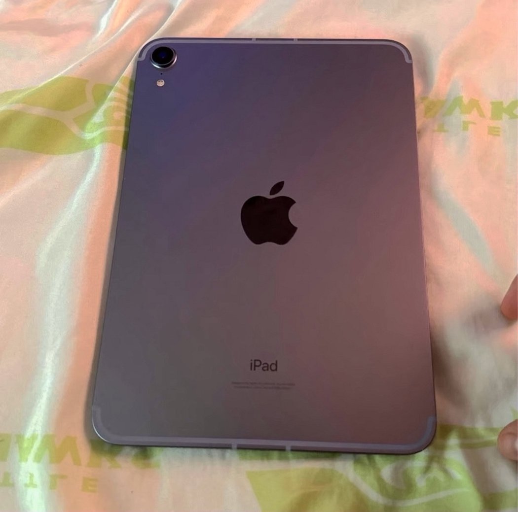 Apple iPad mini 6 Cellular 64GB Space Gray Unlocked - Used image 4