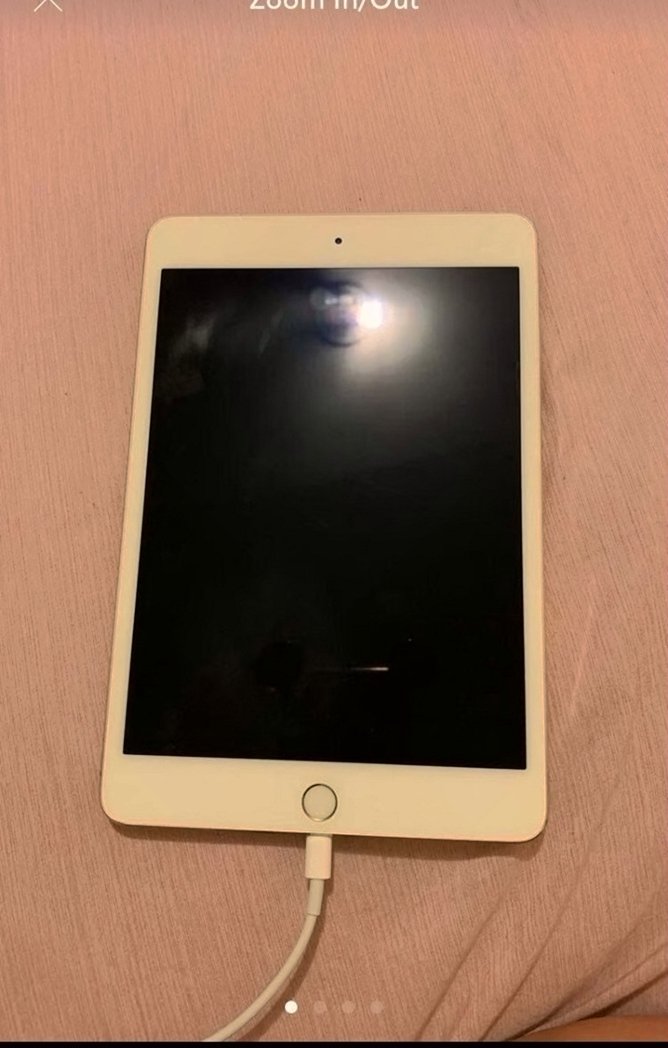 Apple iPad mini 4th Generation 64GB Gold Unlocked - Used