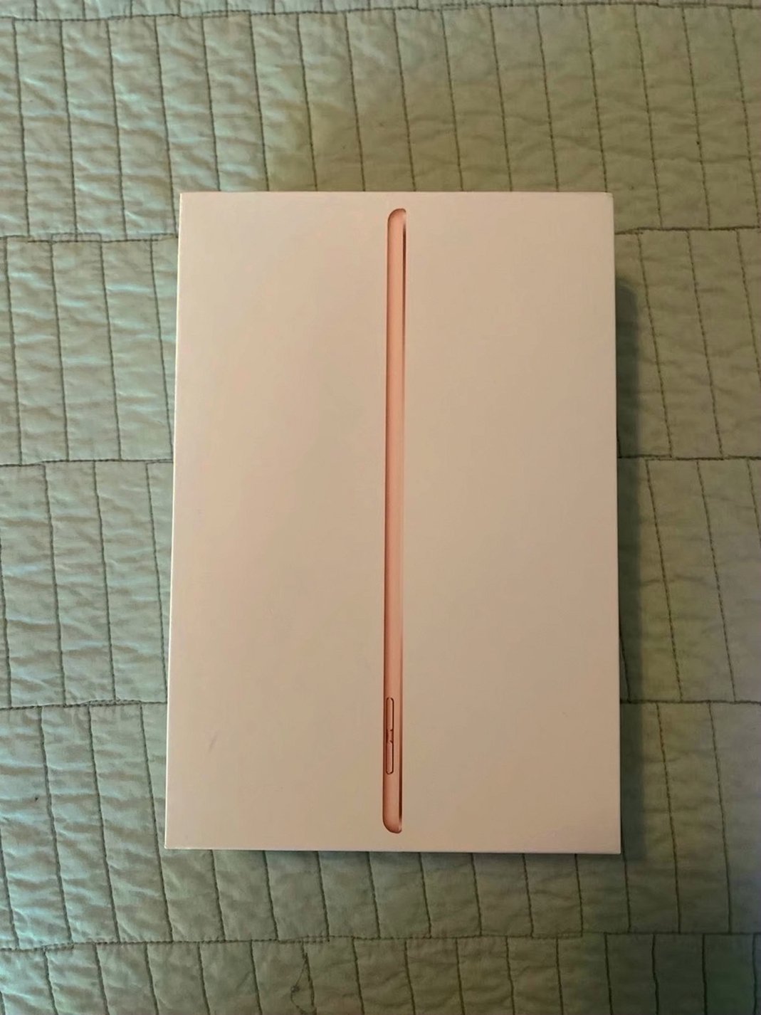 Apple iPad mini 1G13 64GB Space Gray Unlocked - Used