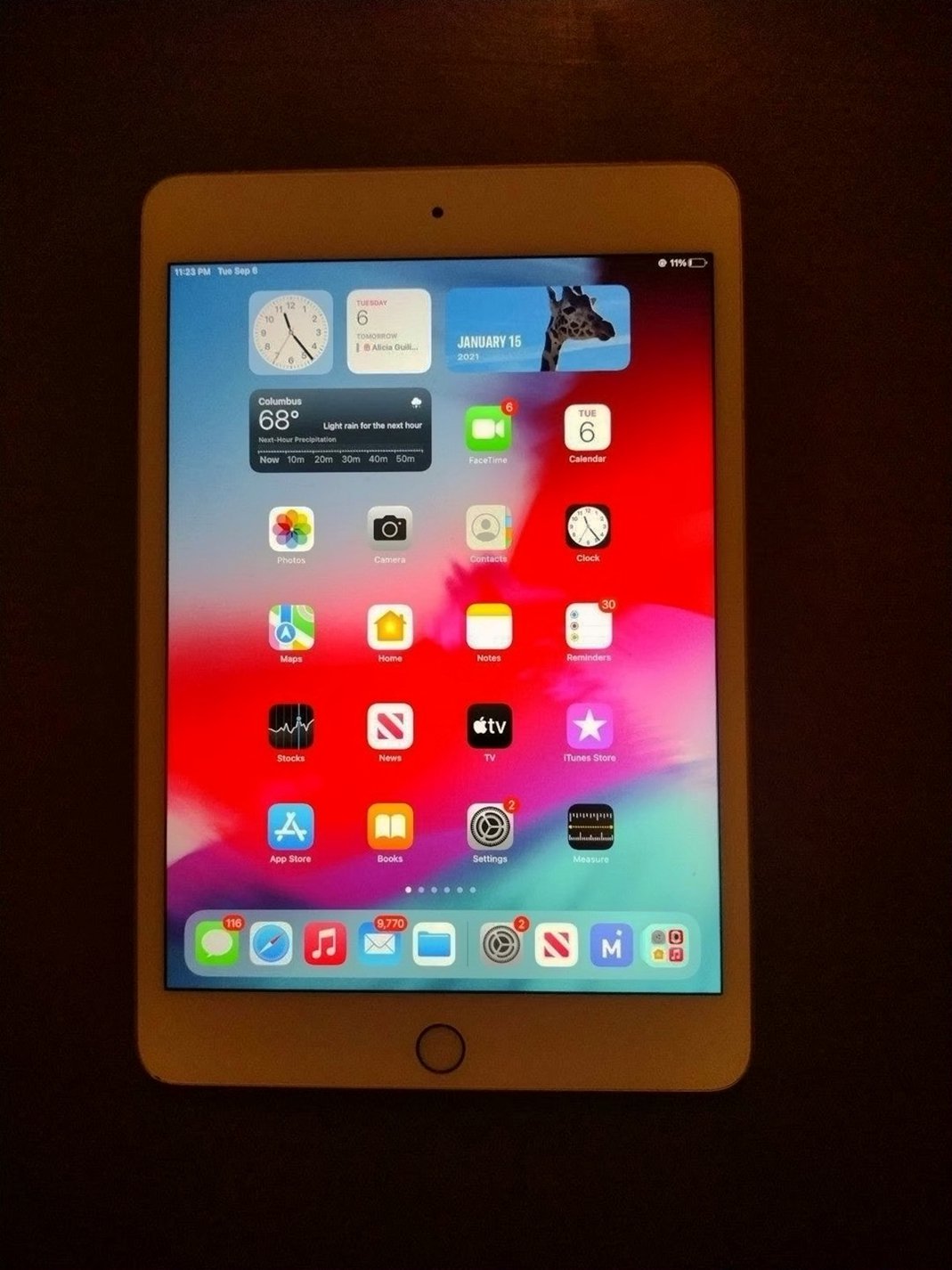 Apple iPad Mini 5th Generation 64GB Rose Gold Unlocked - Used