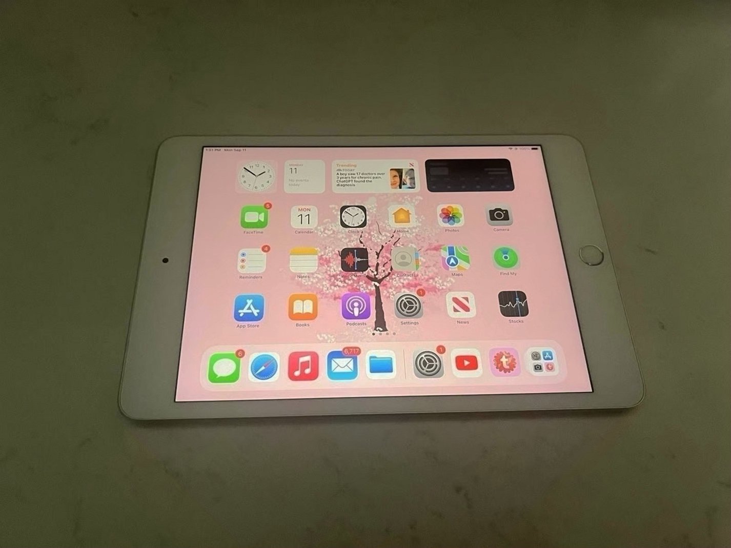 Apple iPad Mini 5th Generation 64GB Silver Unlocked - Used