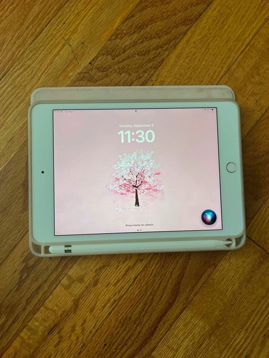 Apple iPad Mini 5th Generation 64GB Silver Unlocked - Used image 4