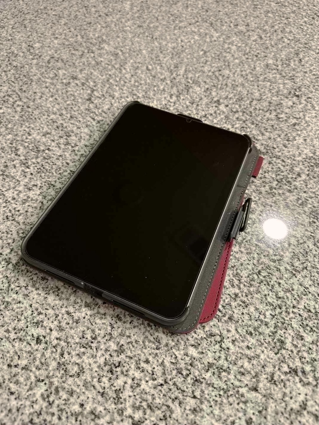 Apple iPad Mini 6th Gen 256GB Space Gray Unlocked - Used