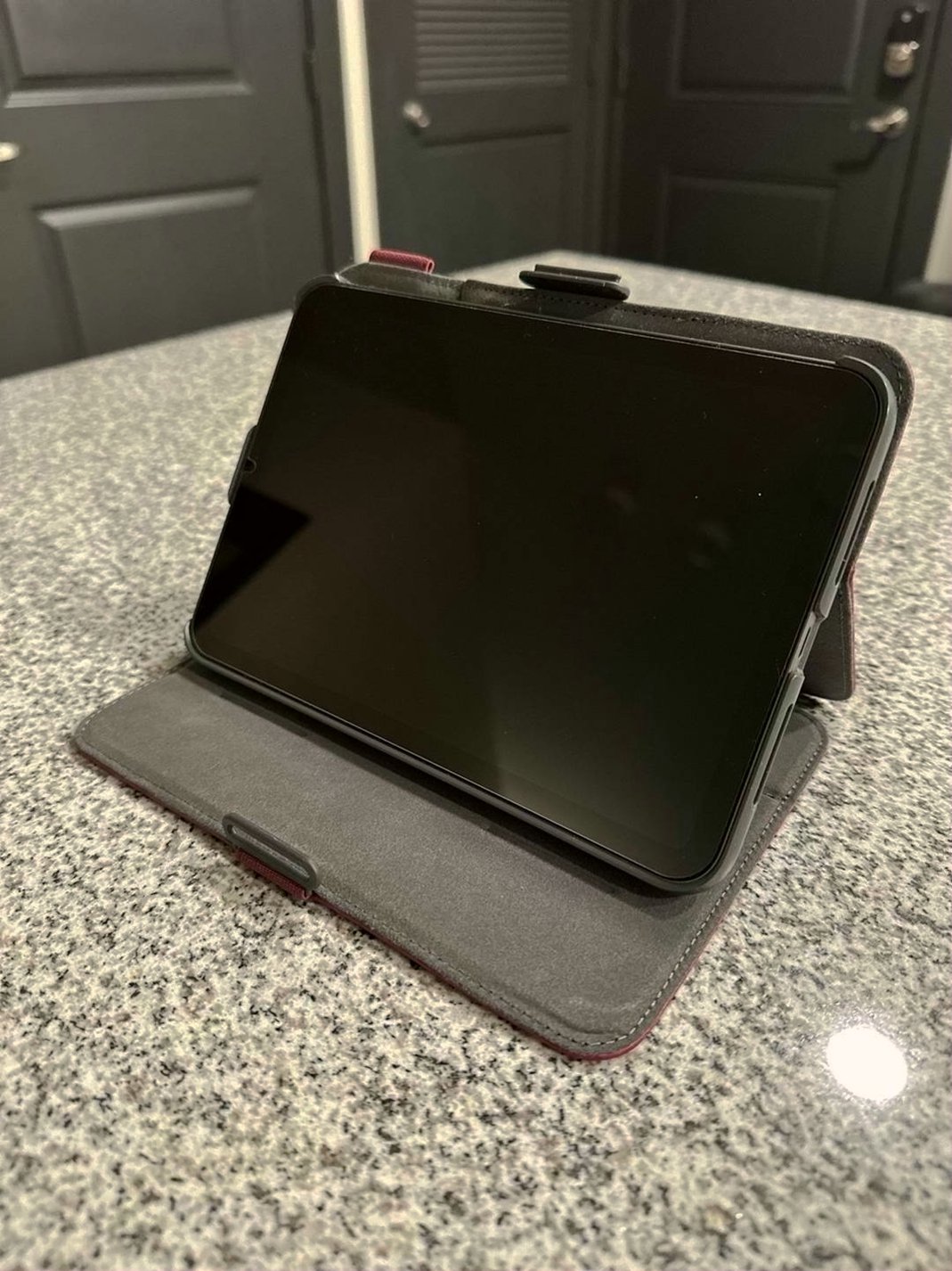 Apple iPad Mini 6th Gen 256GB Space Gray Unlocked - Used image 2