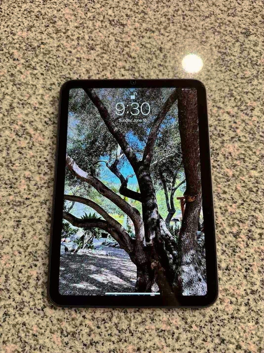 Apple iPad Mini 6th Gen 256GB Space Gray Unlocked - Used image 5