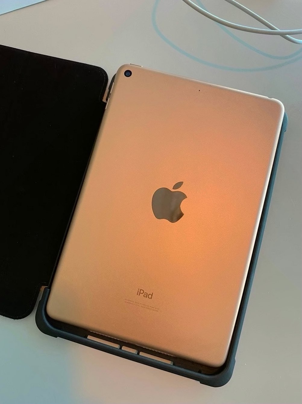 Apple iPad Mini 5th Generation 64GB Rose Gold Unlocked - Used image 3
