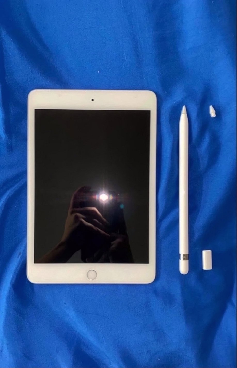 Apple iPad mini 5 256GB Silver Unlocked - Used