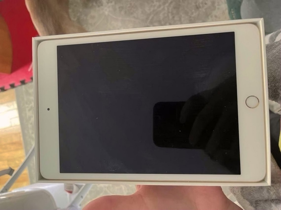 Apple iPad Mini 4 8H12 64GB Space Gray Unlocked - Used