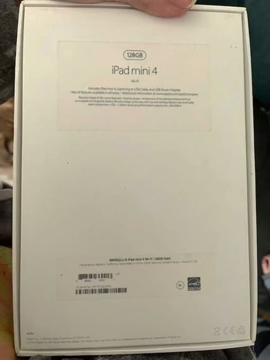 Apple iPad Mini 4 8H12 64GB Space Gray Unlocked - Used image 3