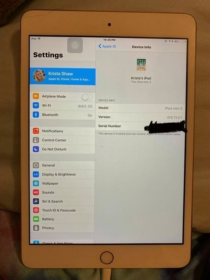 Apple iPad mini 3rd Generation 64GB Gold Unlocked - Used