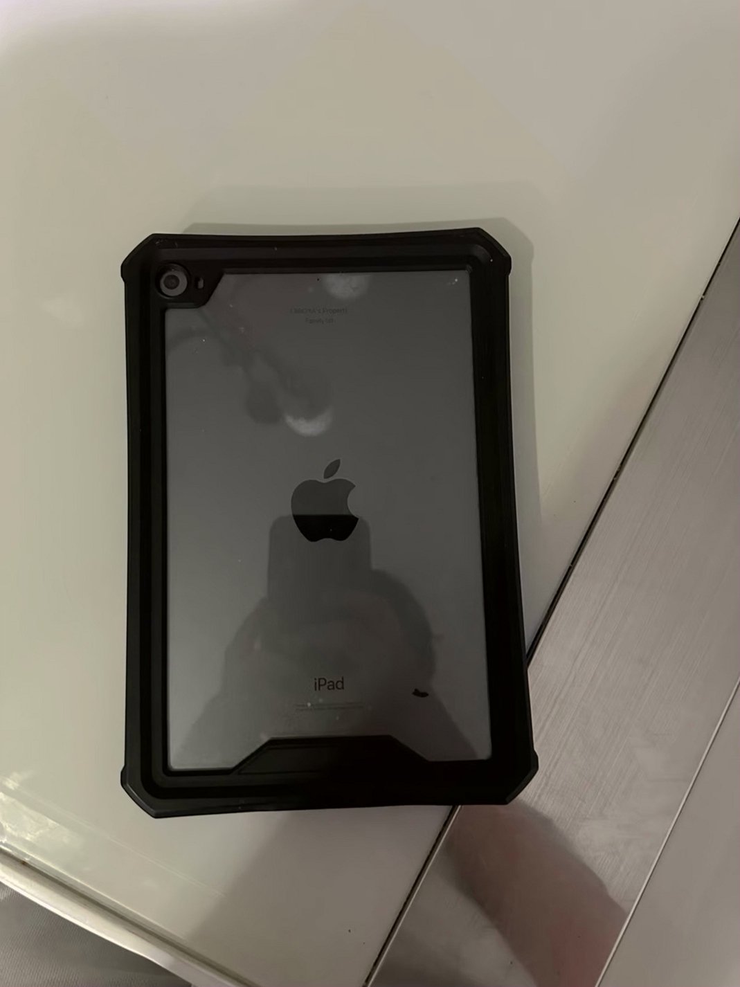 Apple iPad Mini 5th Generation 256GB Unlocked Used image 2