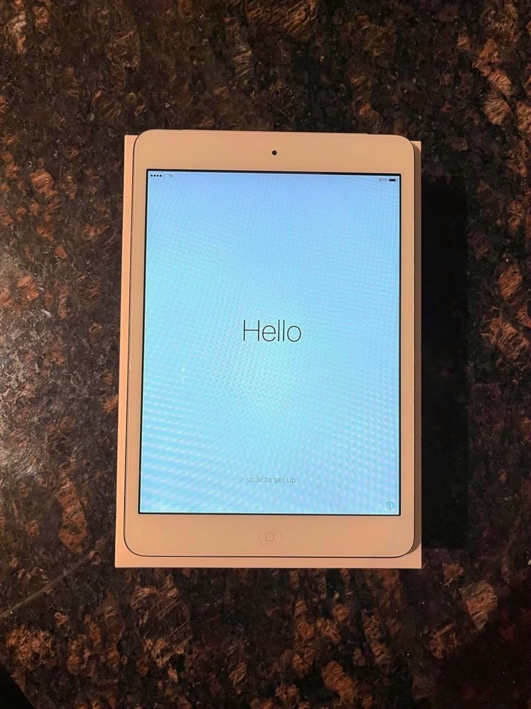 Apple iPad Mini 4th Generation 64GB Space Gray Unlocked - Used