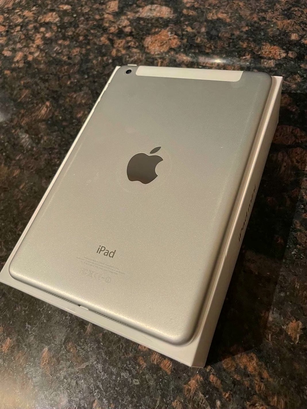 Apple iPad Mini 4th Generation 64GB Space Gray Unlocked - Used image 3