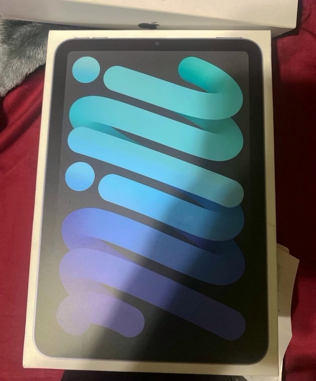 Apple iPad Mini 6th Gen 64GB Space Gray Unlocked - Used