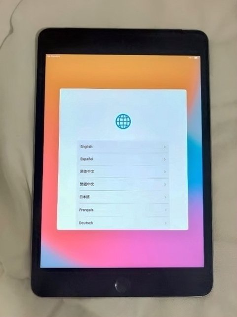 Apple iPad Mini 4 64GB Space Gray Unlocked - Used