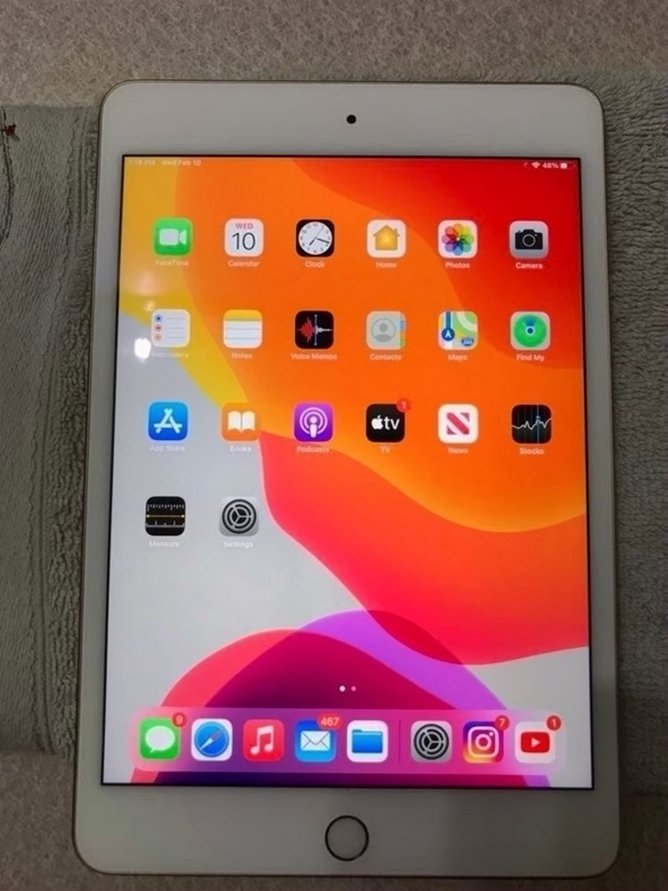Apple iPad Mini 5 6P22 64GB Space Gray Unlocked - Used
