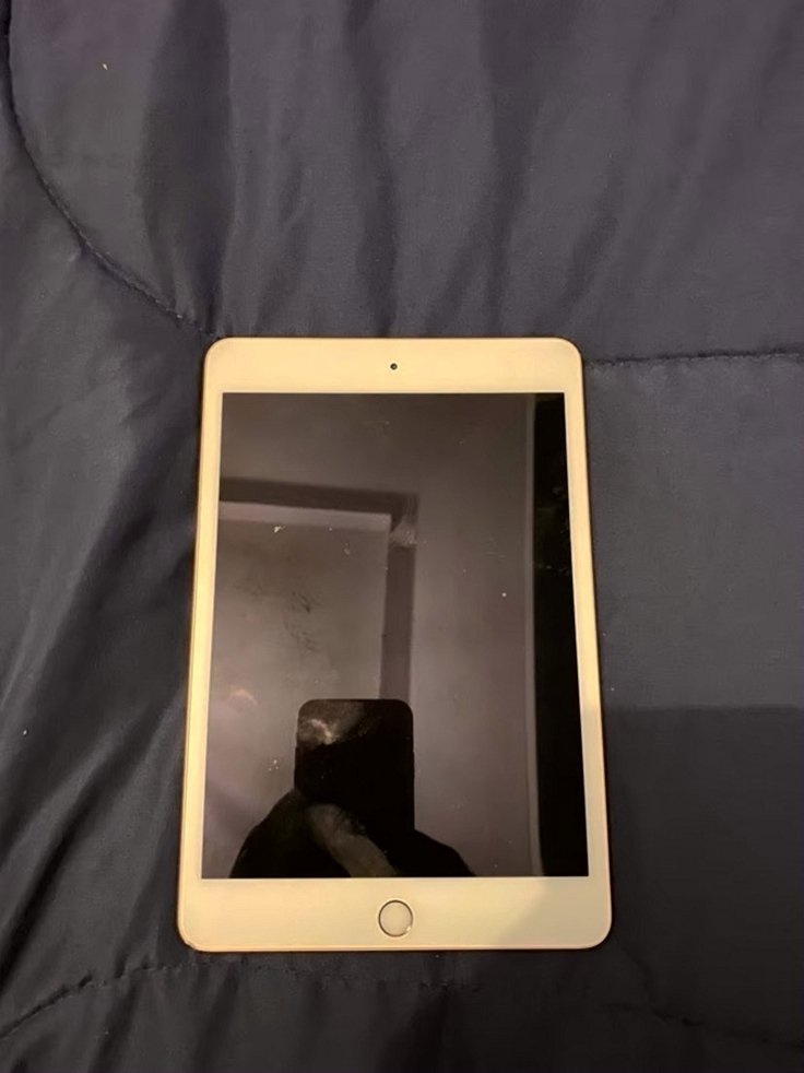 Apple iPad mini 5S85 Rose Gold Unlocked - Used image 4