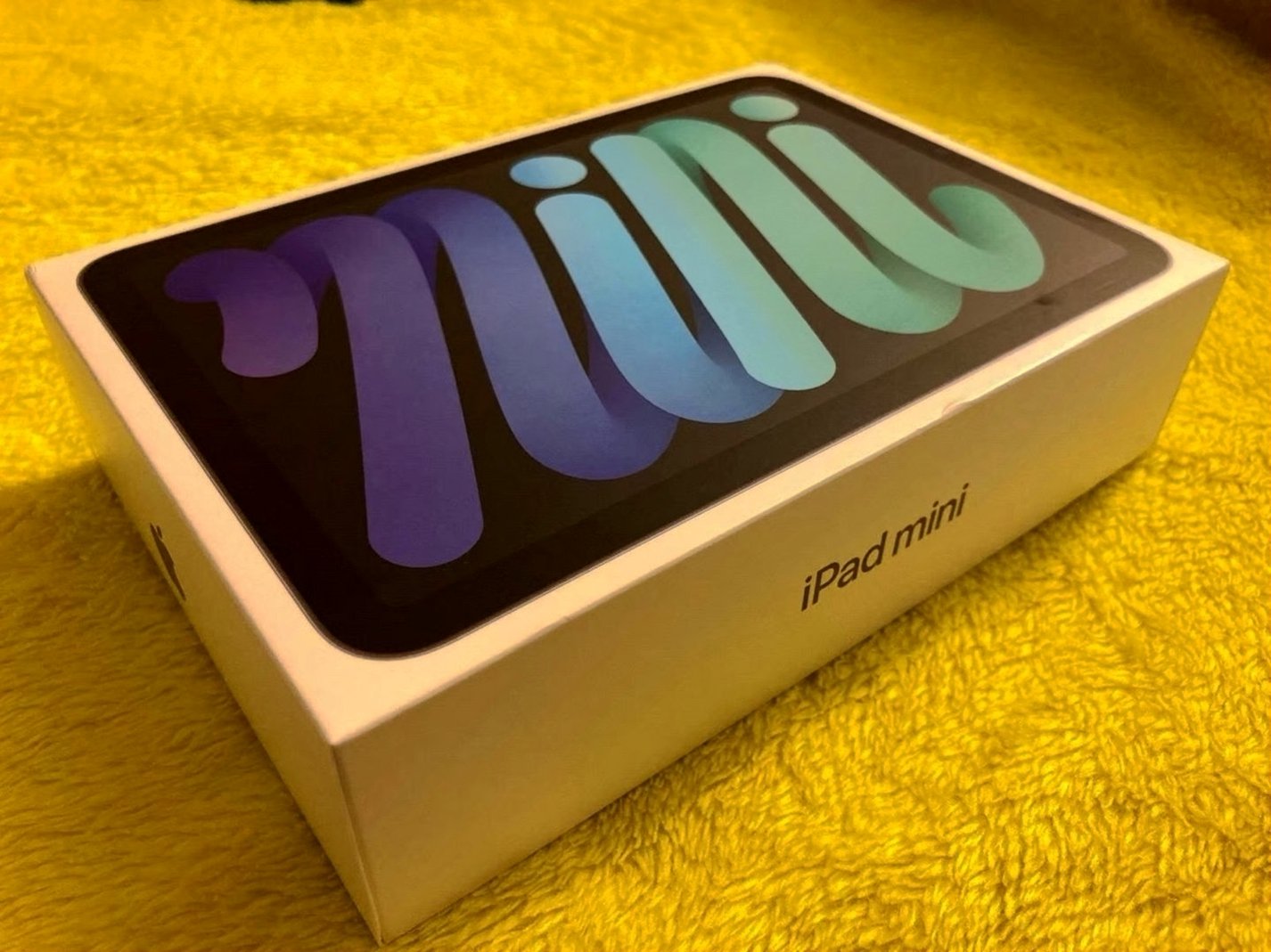 Apple iPad Mini 6th Generation 64GB Unlocked - Used