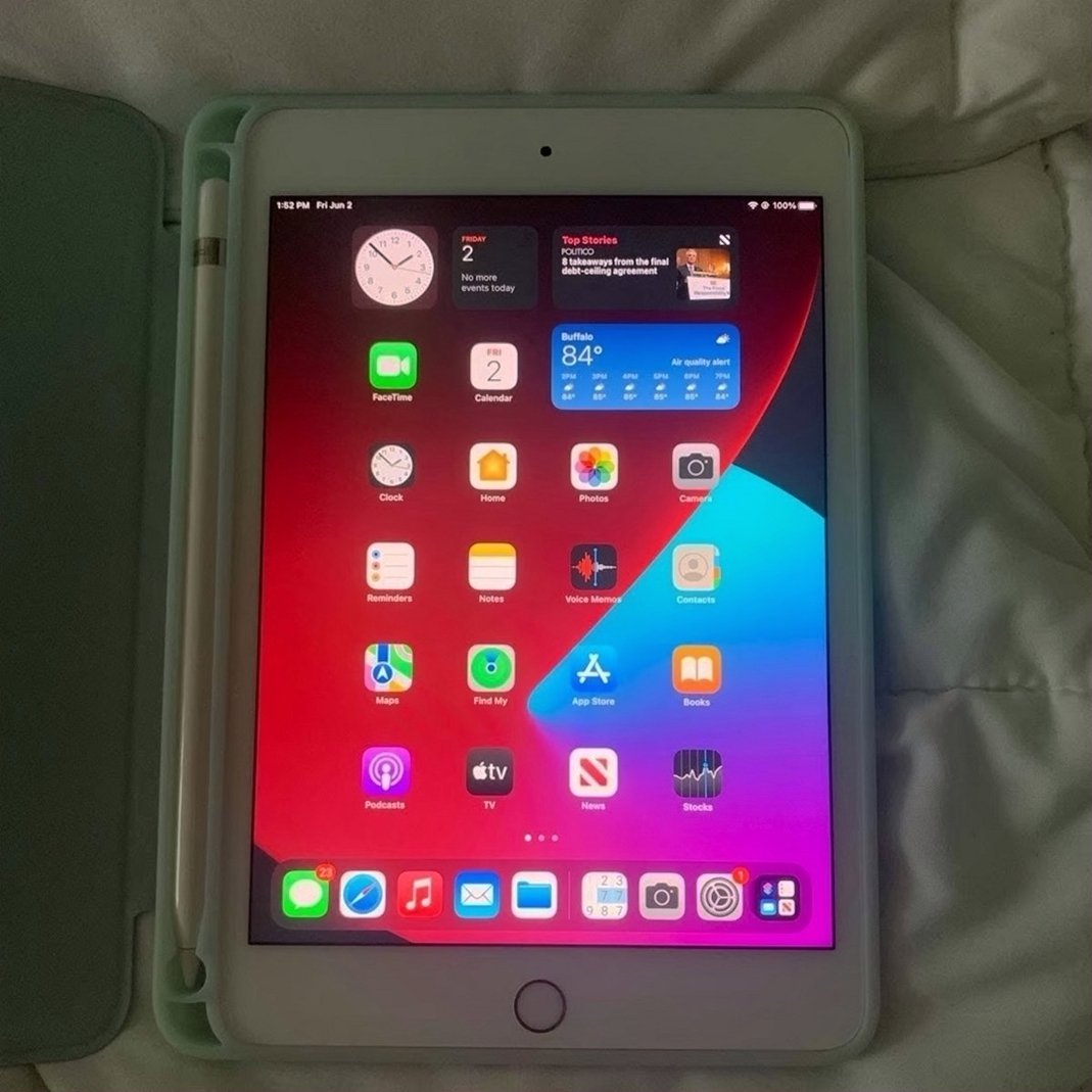 Apple iPad Mini 5 64GB Gold Unlocked - Used