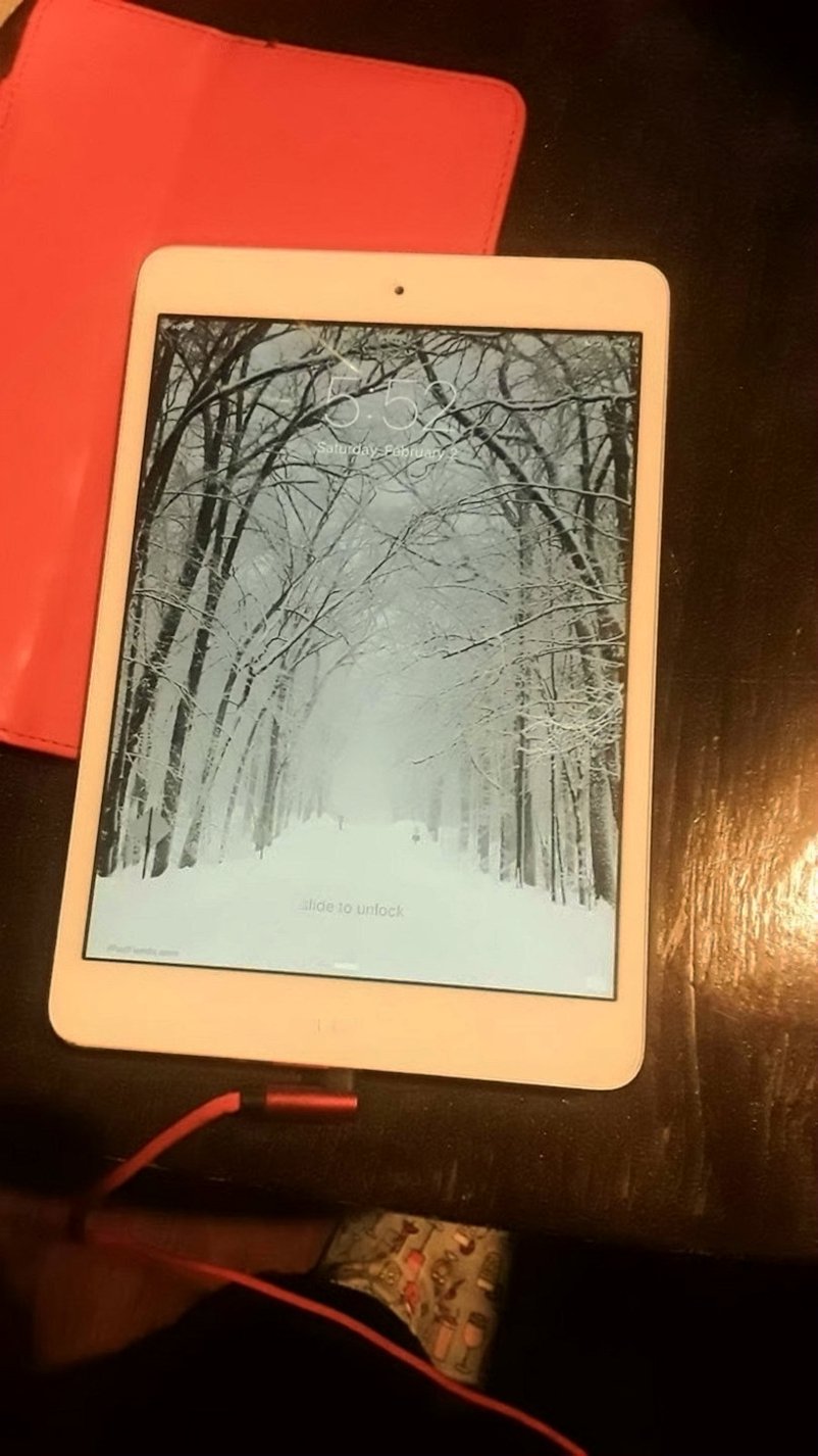 Apple iPad Mini 8N27 64GB Space Gray Unlocked - Used