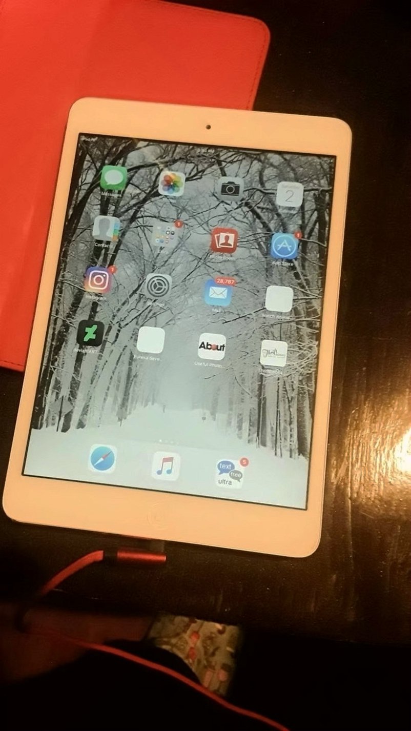 Apple iPad Mini 8N27 64GB Space Gray Unlocked - Used image 2