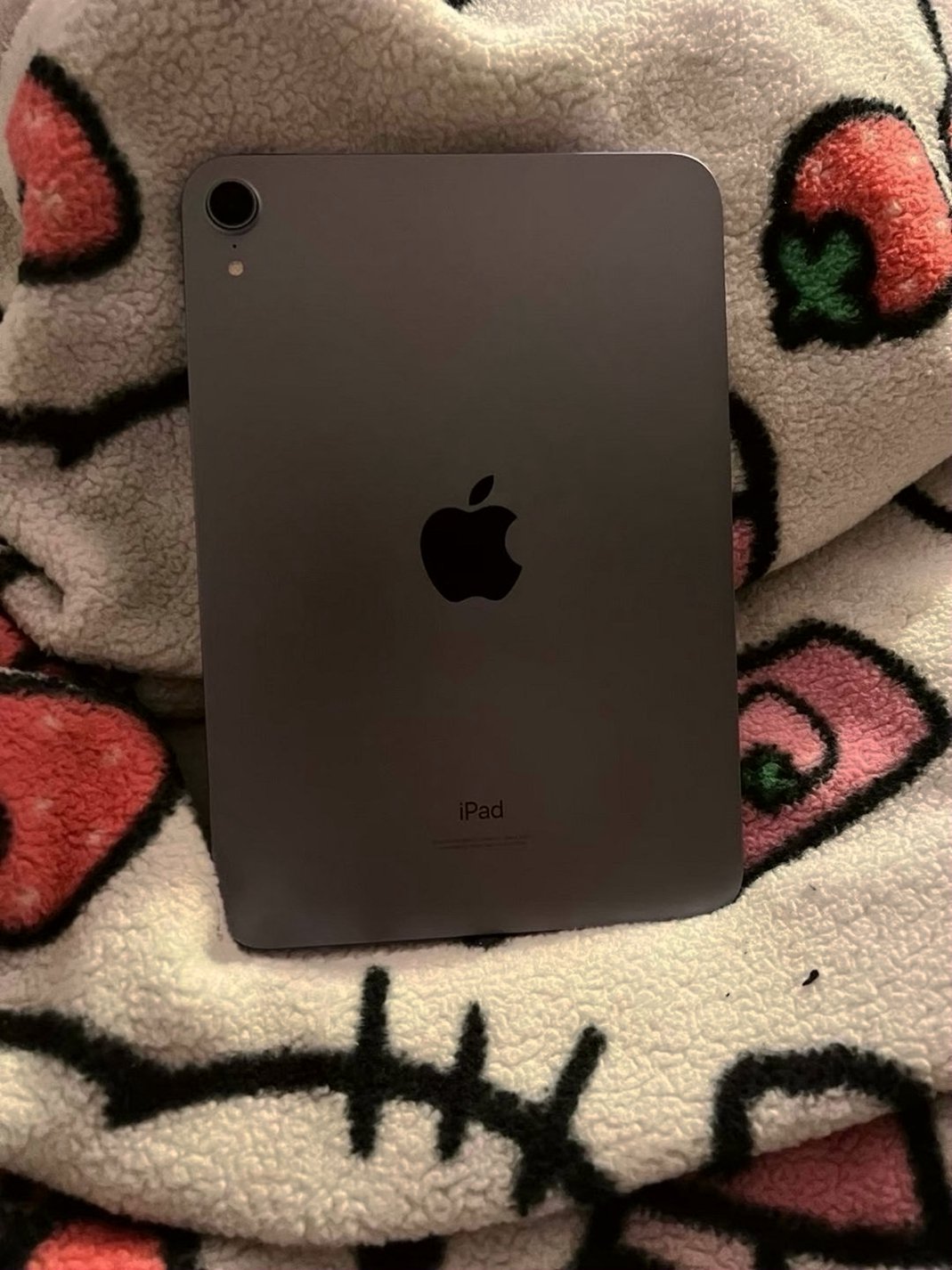 Apple iPad mini 6 64GB Space Gray Unlocked - Used image 2