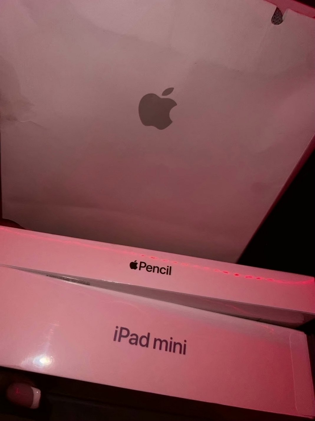 Apple iPad mini 6th Generation 64GB Purple Unlocked - Used image 3