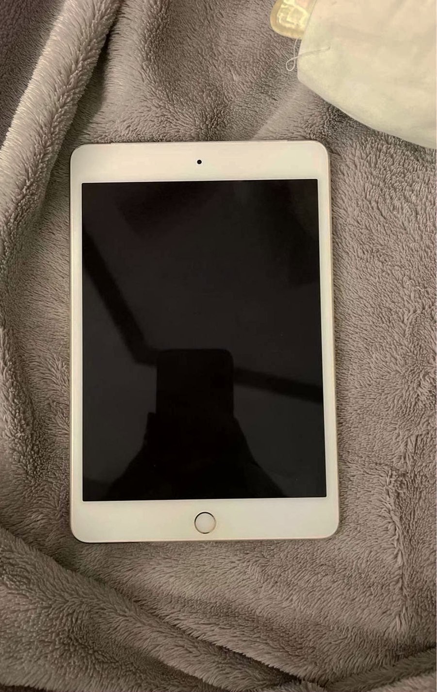 Apple iPad mini 4 16GB Space Gray Unlocked - Used