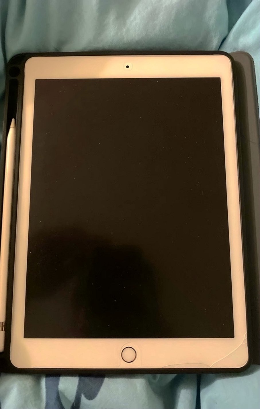 Apple iPad Mini 256GB Unlocked - Used