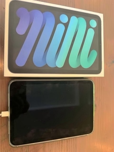Apple iPad mini Wi-Fi + Cellular 256GB Space Gray Unlocked - Used