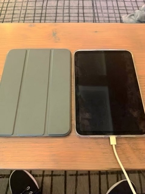 Apple iPad mini Wi-Fi + Cellular 256GB Space Gray Unlocked - Used image 2
