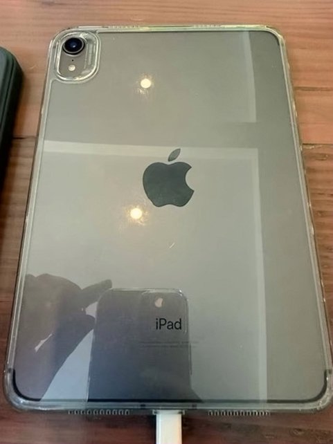Apple iPad mini Wi-Fi + Cellular 256GB Space Gray Unlocked - Used image 3
