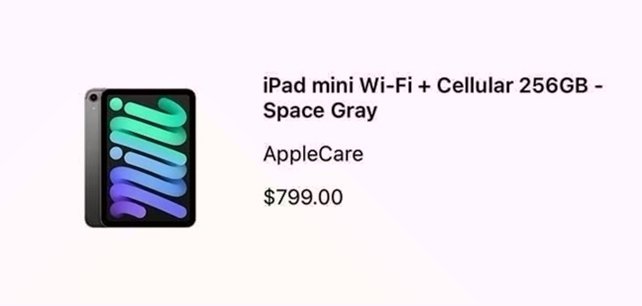 Apple iPad mini Wi-Fi + Cellular 256GB Space Gray Unlocked - Used image 4