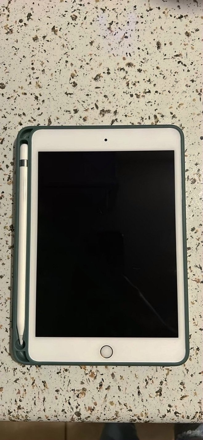 Apple iPad mini 5th Gen 64GB Unlocked - Used