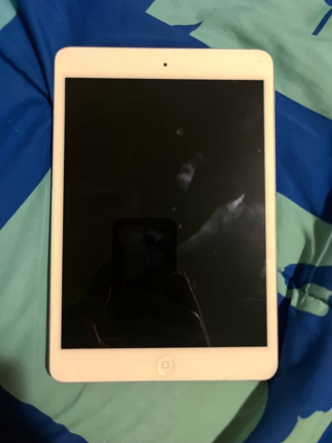 Apple iPad Mini 5th Generation 256GB Unlocked Used